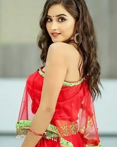 Call Girls Service Sankarapuram