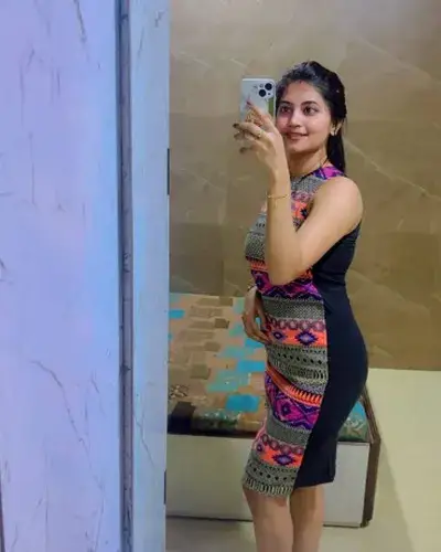 Escort Sankarapuram